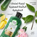 ⁦بلسم هيربل إيسنسز بيو رينيو بصبار الألوفيرا القوي وزيت الأفوكادو لترطيب وتحديد الخصلات المموجة - 400 مل⁩ - الصورة ⁦3⁩