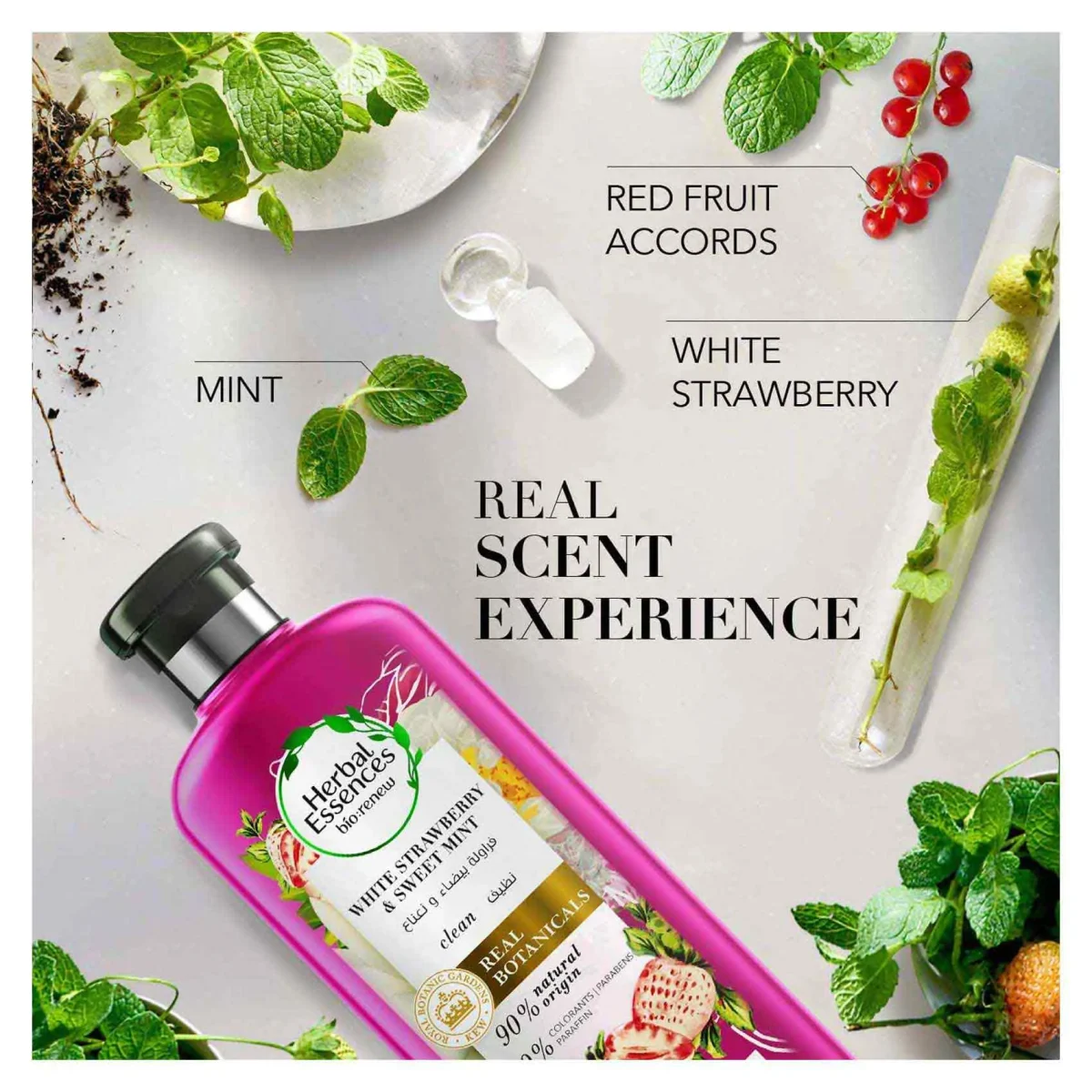 ⁦بلسم هيربل إيسنسز بيو رينيو بالفراولة البيضاء والنعناع الحلو لشعر مفعم بالحيوية واللمعان - 400 مل⁩ - الصورة ⁦3⁩