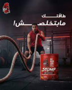 ⁦بيغ رامي لابز ريد ريكس إل-كارنيتين سائل بنكهة البطيخ – مكمل غذائي لدعم الطاقة وحرق الدهون - 480 مل⁩ - الصورة ⁦5⁩